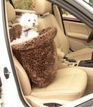 Boomer a 7 lbs. Maltese is a happy traveler in a Medium Seat.