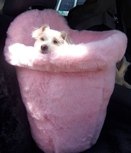 Boo says ‘Can someone please bring me a hogie sandwich from craft services?’