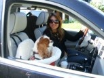 Fiona Ma, an Assemblywoman for California & her dog Maggie ride safe & in STYLE!!