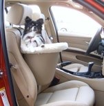 Notice how Zeus supports him self with the ledge