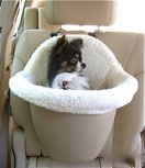Zeus modeling the small beige seat, installed in the back seat of the Lexus SUV 