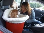 Maggie rides with her Mom, Assembly Woman Fiona Ma of San Francisco.
