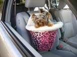 Check out Dolce’s new ‘pimp’ed’ seat! Pink leopard!