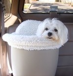 Handsome riding in a Tan Small Seat